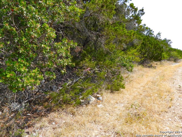 Image 6 of 17 For Tbd Skyline Trail