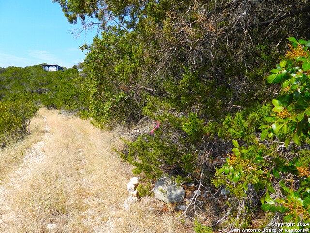 Image 8 of 17 For Tbd Skyline Trail