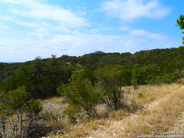 Image 9 of 17 For Tbd Skyline Trail