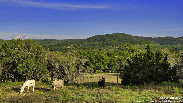 Image 38 of 69 For 2747 Bear Creek