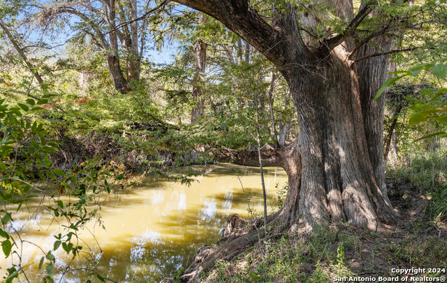 Image 11 of 41 For 21419 Us Hwy 90