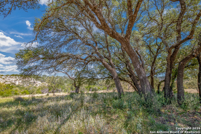 Image 8 of 25 For 0 Seven Springs Ranch Lot 55