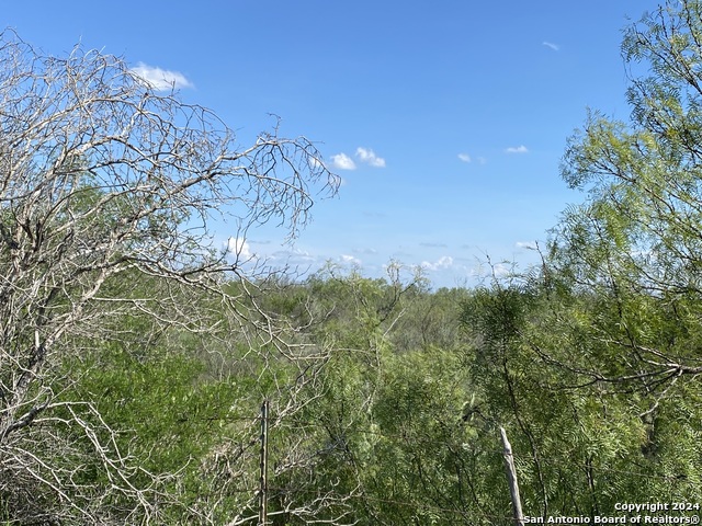 Details for 0 Fm 186  , Carrizo Springs, TX 78834