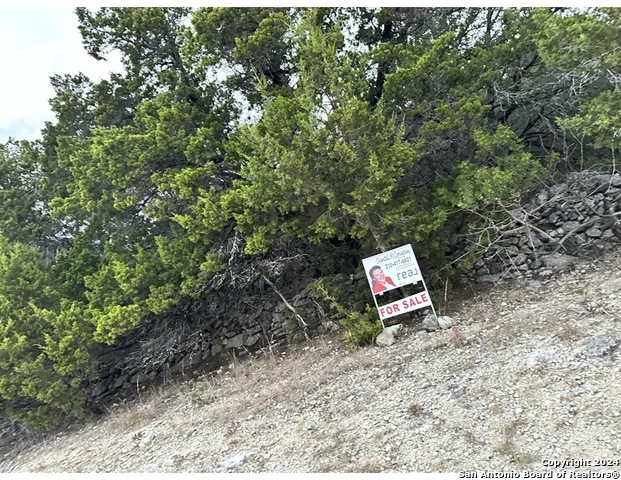 Listing Details for 1031 Eastview, Canyon Lake, TX 78133