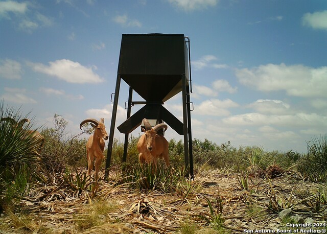 Image 14 of 27 For Tbd Pumpville Road