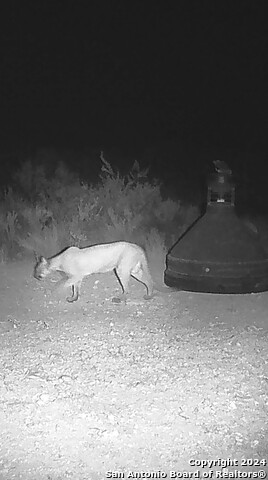 Image 16 of 27 For Tbd Pumpville Road