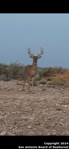 Image 22 of 27 For Tbd Pumpville Road