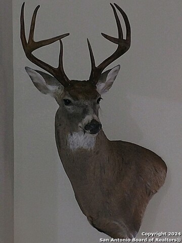 Image 23 of 27 For Tbd Pumpville Road