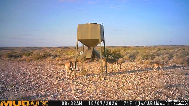 Image 25 of 27 For Tbd Pumpville Road