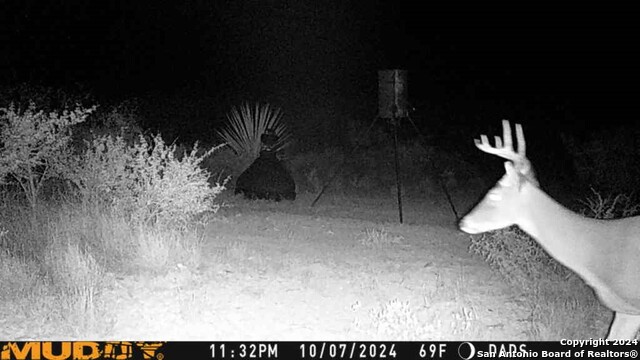 Image 27 of 27 For Tbd Pumpville Road