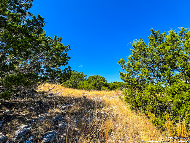 Image 13 of 35 For Lot 77 Loma Vista Ranch