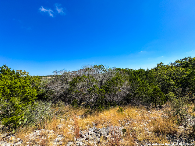 Image 14 of 35 For Lot 77 Loma Vista Ranch