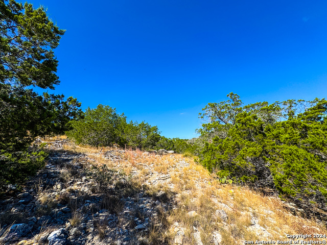 Image 19 of 35 For Lot 77 Loma Vista Ranch