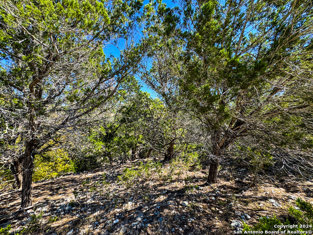 Image 27 of 35 For Lot 77 Loma Vista Ranch