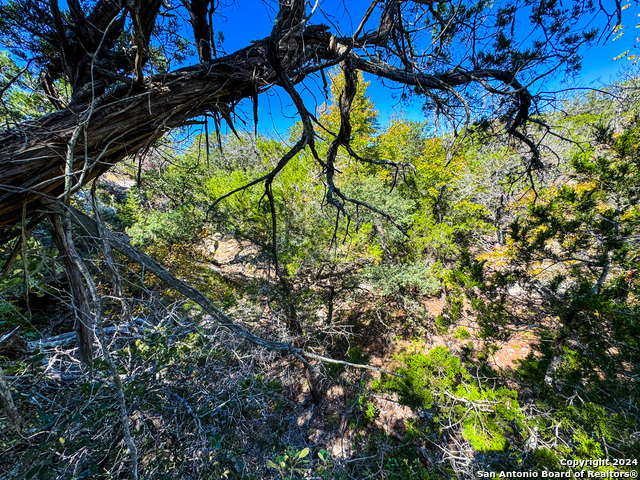 Image 30 of 35 For Lot 77 Loma Vista Ranch