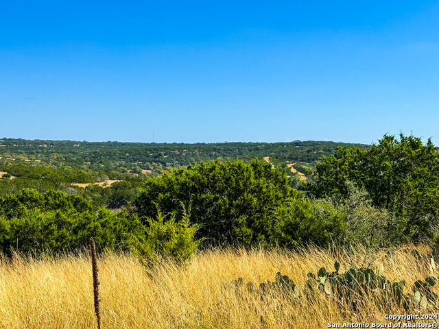 Image 8 of 35 For Lot 77 Loma Vista Ranch