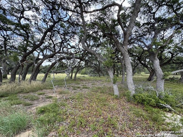 Image 9 of 20 For 931 Maximino Ridge