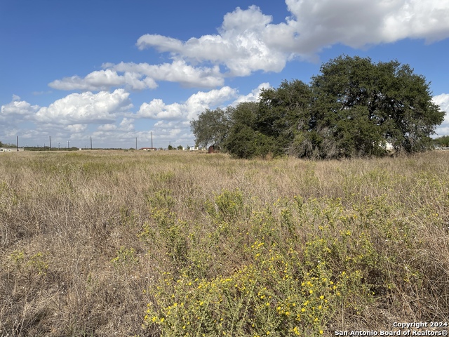 Image 14 of 22 For 210 County Road 2645