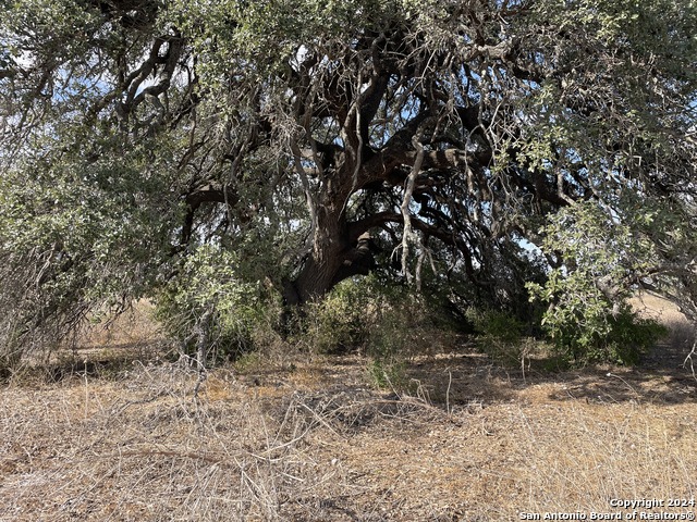 Image 18 of 22 For 210 County Road 2645