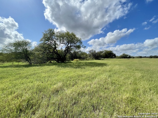 Details for Tract 5 Cr 342, Kenedy, TX 78119