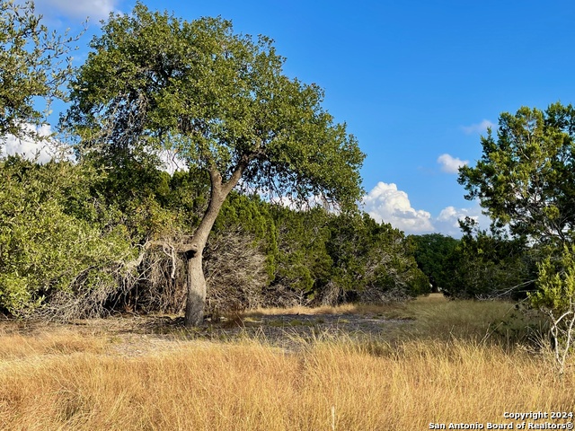 Image 3 of 15 For Parcel 1 Rio Lantana