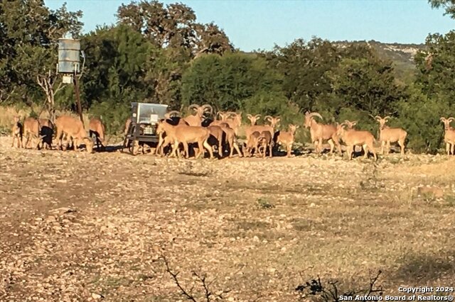 Image 42 of 44 For Address Not Provided