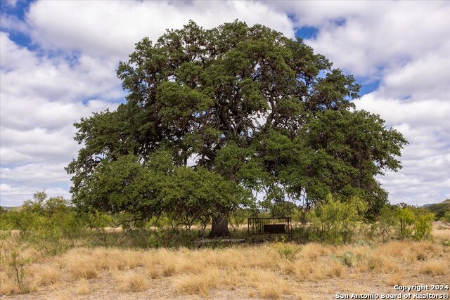 Image 43 of 44 For Address Not Provided