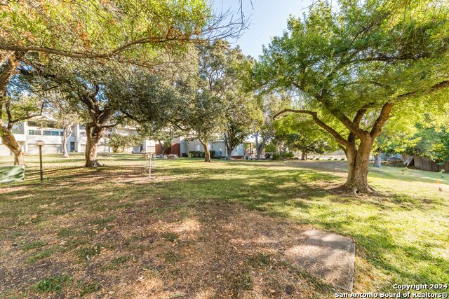 Image 29 of 30 For 3102 Eisenhauer Rd  1a