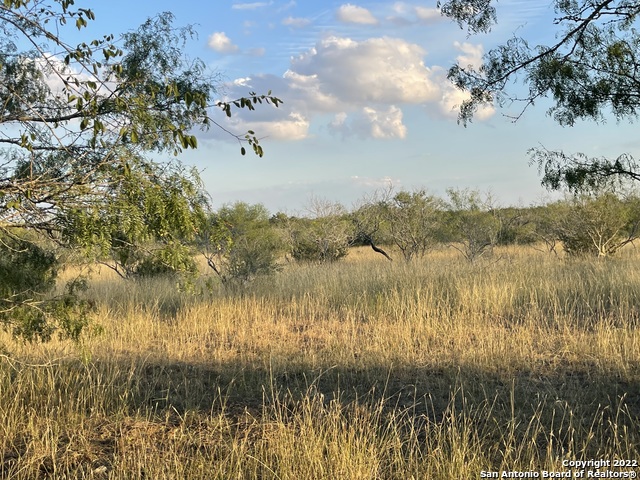 Details for Tbd County Road 474, Tract 4, Stockdale, TX 78160