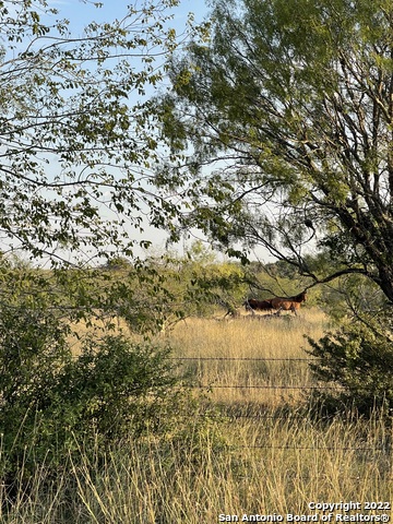 Listing photo id 6 for Tbd County Road 474, Tract 4