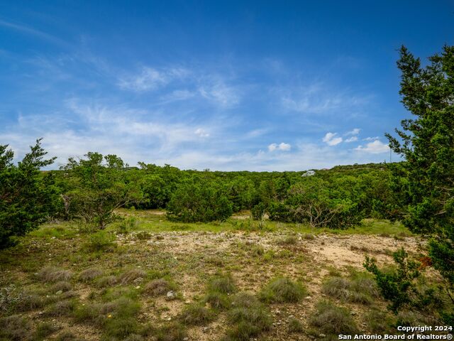 Image 8 of 35 For 207 Lantana Hollow