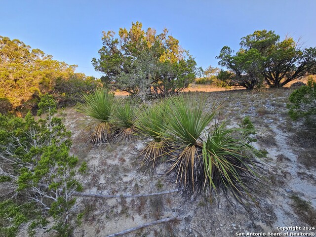 Image 19 of 23 For Lot 75a High Point Ranch Rd