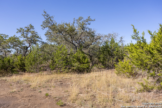 Image 10 of 14 For Block 1, Lot 11 Standing Tall