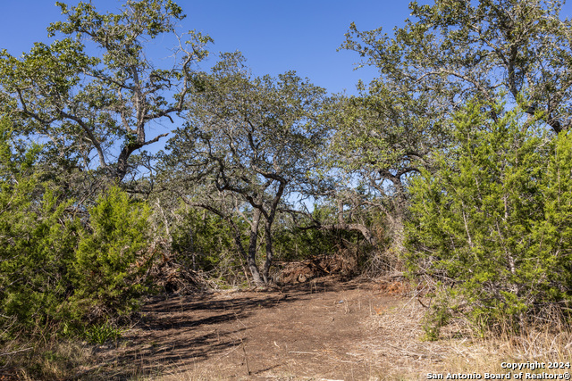 Image 3 of 14 For Block 1, Lot 11 Standing Tall