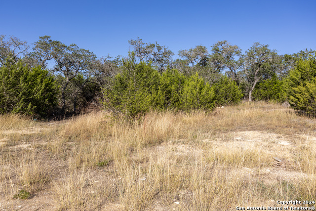 Image 4 of 14 For Block 1, Lot 11 Standing Tall