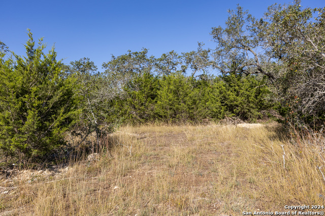 Image 5 of 14 For Block 1, Lot 11 Standing Tall