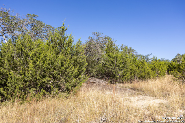 Image 6 of 14 For Block 1, Lot 11 Standing Tall