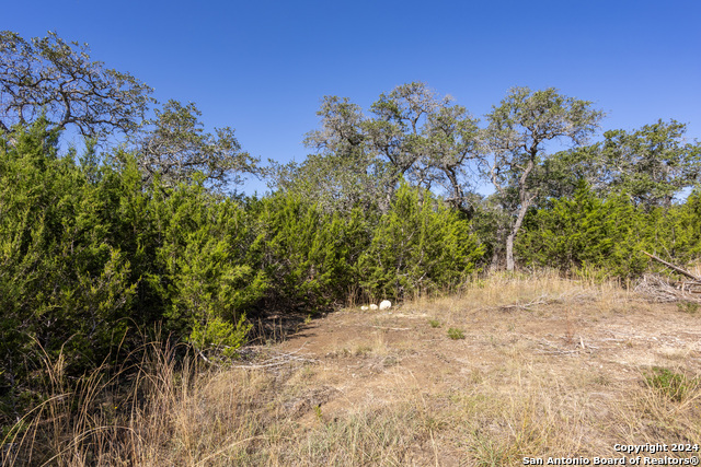 Image 7 of 14 For Block 1, Lot 11 Standing Tall