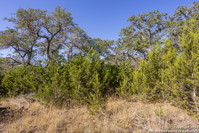 Image 8 of 14 For Block 1, Lot 11 Standing Tall