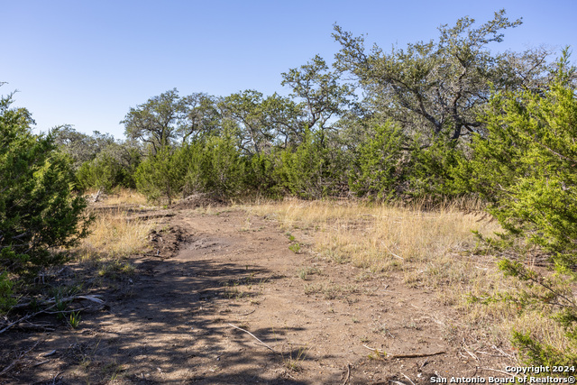 Image 9 of 14 For Block 1, Lot 11 Standing Tall