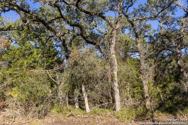 Image 5 of 12 For Block 1, Lot 24 Standing Tall