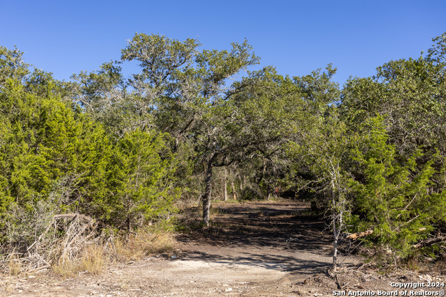 Image 6 of 12 For Block 1, Lot 24 Standing Tall