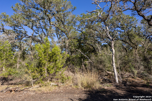 Image 7 of 12 For Block 1, Lot 24 Standing Tall