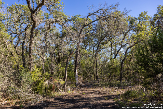 Image 8 of 12 For Block 1, Lot 24 Standing Tall