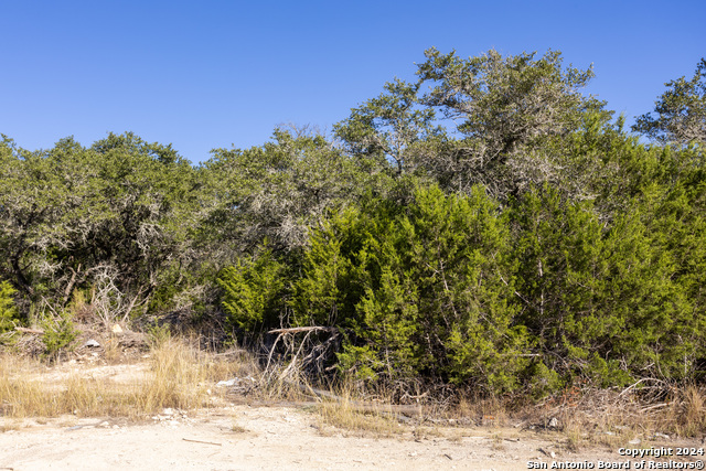 Image 9 of 12 For Block 1, Lot 24 Standing Tall