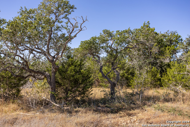 Image 2 of 14 For Block 1, Lot 15 Standing Tall