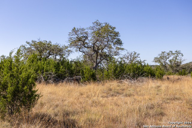 Image 3 of 14 For Block 1, Lot 15 Standing Tall