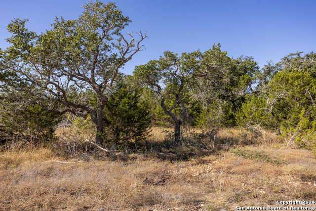 Image 4 of 14 For Block 1, Lot 15 Standing Tall