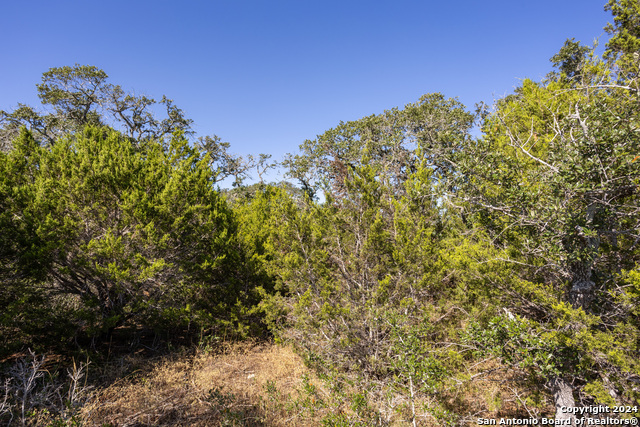 Image 6 of 14 For Block 1, Lot 15 Standing Tall