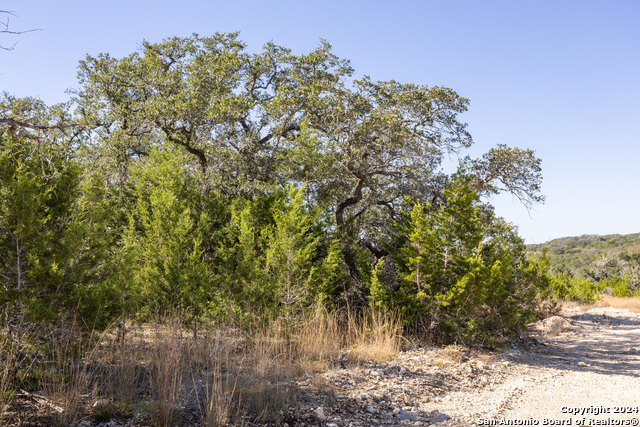 Image 8 of 14 For Block 1, Lot 15 Standing Tall